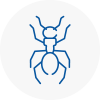 Ant Removals In East Dulwich