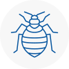 Bed Bug Extermination In East Dulwich
