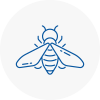 Bee Nest Removal East Dulwich