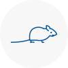 Mice Exterminators In East Dulwich