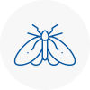 Moth Control Specialists In East Dulwich