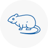 Rat Control East Dulwich