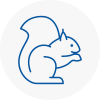 East Dulwich Rodent Removals